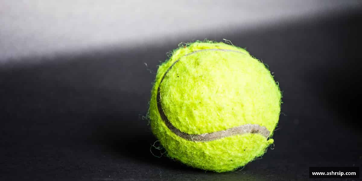 知道bsports必一运动